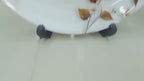 Melamine Vigo Print Double Glaze Plates