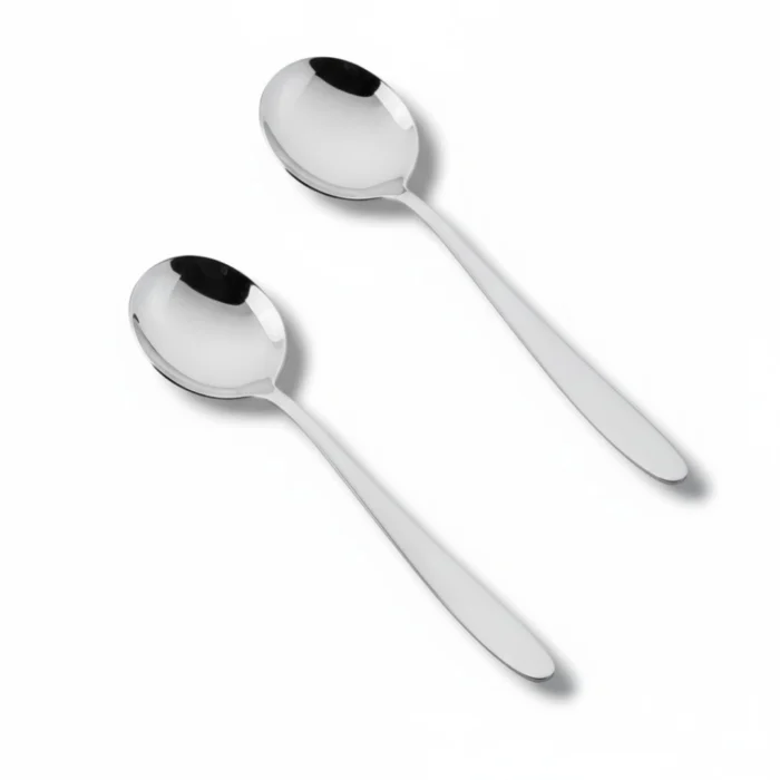 2 Pcs Stainless Steel Curry Serving Round Shape Spoon for Serving
