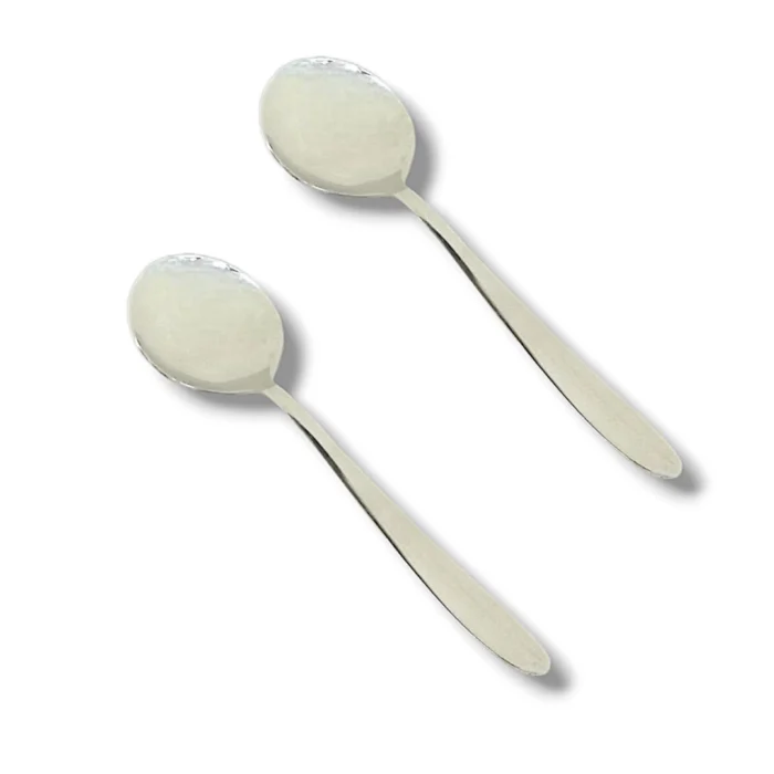 2 Pcs Stainless Steel Curry Serving Round Shape Spoon for Serving