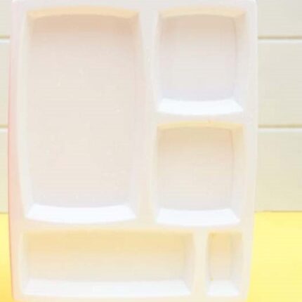 5 Portion Tray For Serving