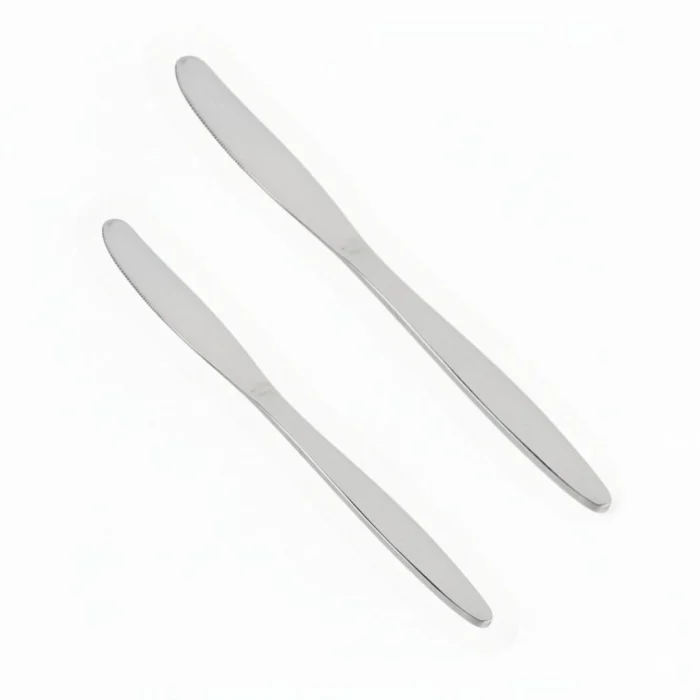 6 pcs stainless steel butter knife for spreading butter
