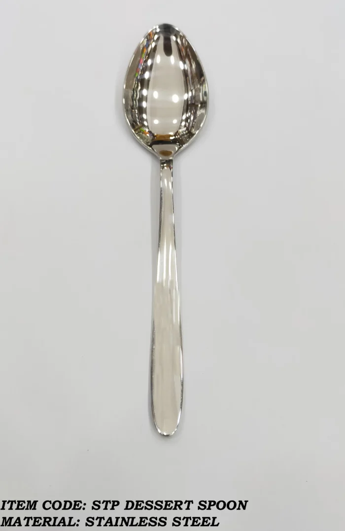 6 Pcs Stainless Steel Dessert Spoon for Dining