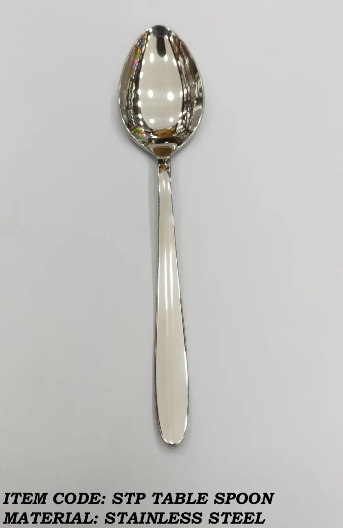 6 Pcs Stainless Steel Table Spoon for Dining
