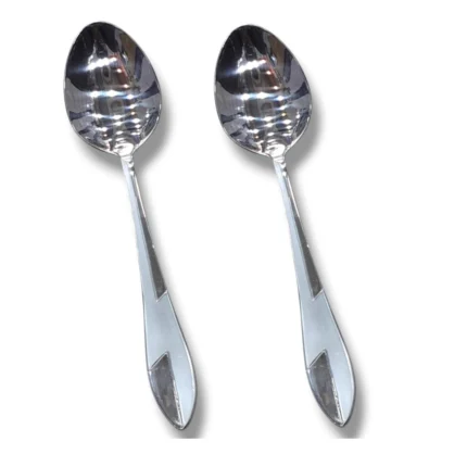 2-Piece Stainless Steel Oval Serving Spoon Set for Serving Curry and Other Dishes