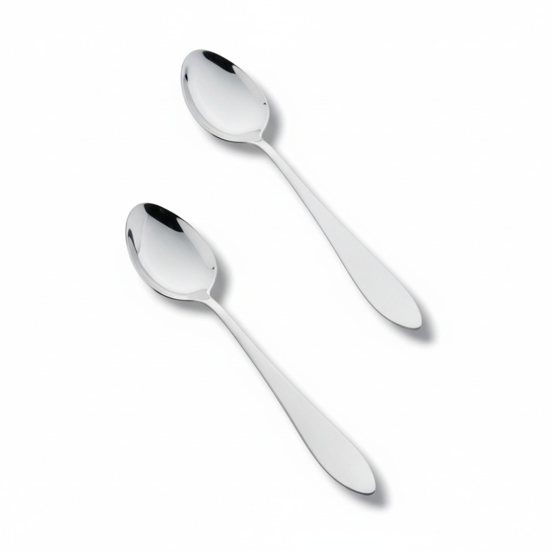 Stainless steel 2 pcs oval shape spoon set for serving