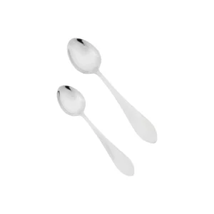 Stainless steel 6 pcs tea spoon range for dining