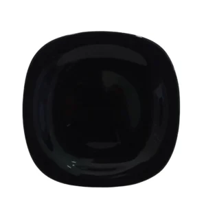 Double Glazed Melamine 11 inch Dinner Plate