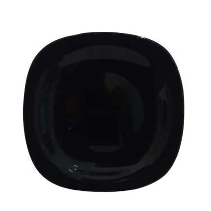 Double Glazed Melamine 11 inch Dinner Plate