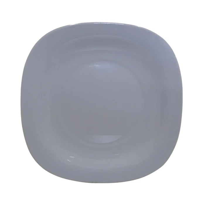 Melamine White Color Double Glazed Rice Plate 10 inch For Dining and Serving
