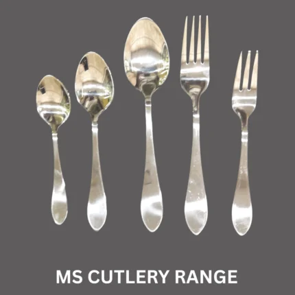Stainless steel loose cutlery spoon range for dining