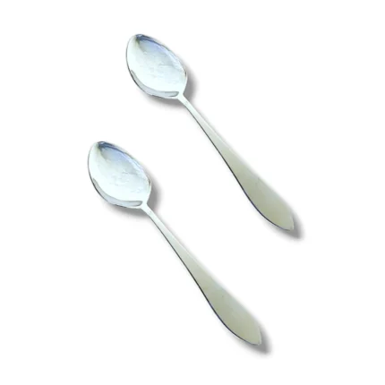 Stainless steel 2 pcs oval shape spoon set for serving