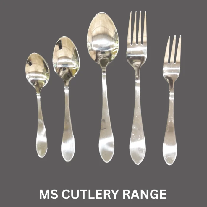 Stainless steel loose cutlery spoon range for dining