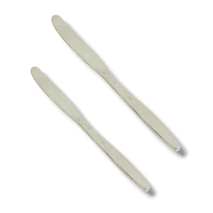 6 Pcs Stainless Steel Butter Knife for Spreading Butter and