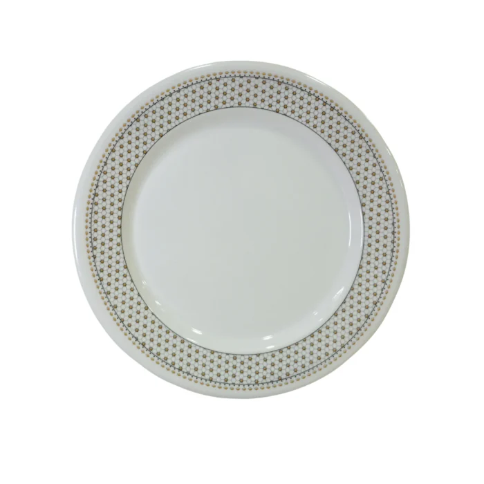 10-Inch Double Glazed Melamine RIce Plate for Serving Meals