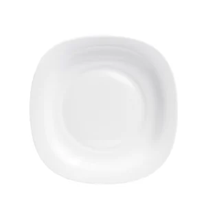 Double Glazed Melamine 11 inch Dinner Plate