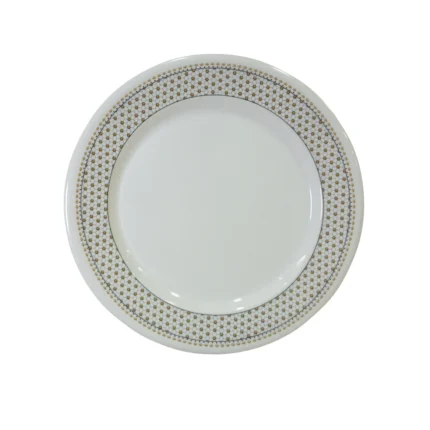 10-Inch Double Glazed Melamine RIce Plate for Serving Meals