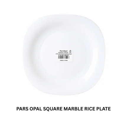 6 Pcs Marble Square Dinner Plate for Serving Meals