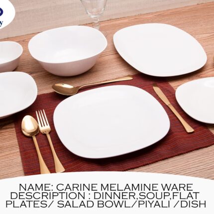 Double Glazed Melamine White Color Loose Dining Item Range