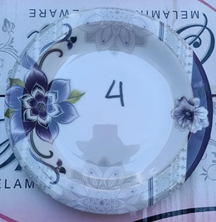 Printed Dinner Set 74 Pcs For 6 Person For Dining and Serving