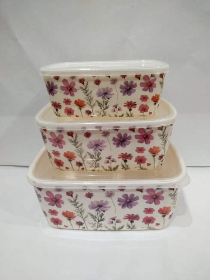3 Pcs Square Bowl Set With Plastic Lid