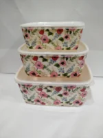 3 Pcs Square Bowl Set With Plastic Lid